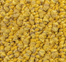 Desso Marvel 6214 фото 4 | FLOORDEALER